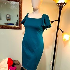 Stylish NWT Lane Bryant dress